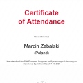 Powiększ obraz: certificate 9