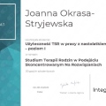 Powiększ obraz: certificate 7
