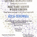 Powiększ obraz: certificate 7