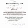 Powiększ obraz: certificate 11