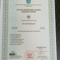 Powiększ obraz: certificate 7