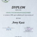Powiększ obraz: certificate 5