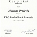 Powiększ obraz: certificate 3