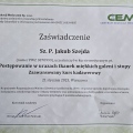 Powiększ obraz: certificate 13