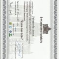 Powiększ obraz: certificate 1