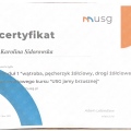 Powiększ obraz: certificate 7