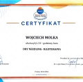 Powiększ obraz: certificate 11