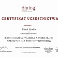 Powiększ obraz: certificate 9