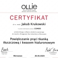 Powiększ obraz: certificate 11