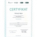 Powiększ obraz: certificate 4