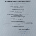 Powiększ obraz: certificate 11
