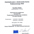 Powiększ obraz: certificate 9