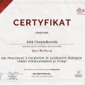 Powiększ obraz: certificate 12