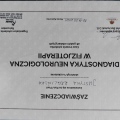 Powiększ obraz: certificate 3