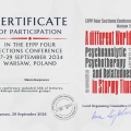 Powiększ obraz: certificate 1