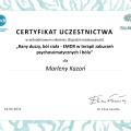 Powiększ obraz: certificate 2
