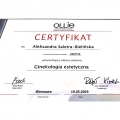 Powiększ obraz: certificate 2