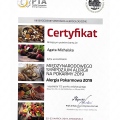 Powiększ obraz: certificate 4