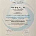 Powiększ obraz: certificate 4