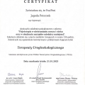 Powiększ obraz: certificate 1
