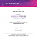 Powiększ obraz: certificate 2