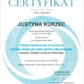 Powiększ obraz: certificate 8