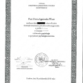 Powiększ obraz: certificate 1