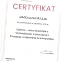 Powiększ obraz: certificate 11