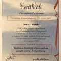 Powiększ obraz: certificate 6