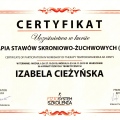 Powiększ obraz: certificate 4