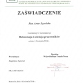Powiększ obraz: certificate 3