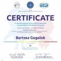 Powiększ obraz: certificate 1