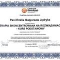 Powiększ obraz: certificate 2