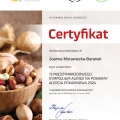 Powiększ obraz: certificate 11