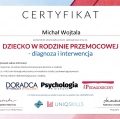 Powiększ obraz: certificate 11