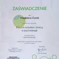 Powiększ obraz: certificate 17