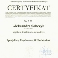 Powiększ obraz: certificate 1