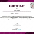 Powiększ obraz: certificate 2