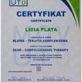 Powiększ obraz: certificate 3