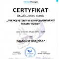 Powiększ obraz: certificate 1