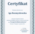 Powiększ obraz: certificate 2