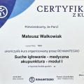 Powiększ obraz: certificate 2