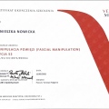 Powiększ obraz: certificate 7