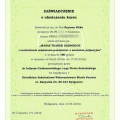 Powiększ obraz: certificate 11