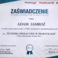 Powiększ obraz: certificate 3