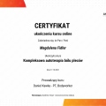 Powiększ obraz: certificate 21