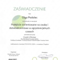 Powiększ obraz: certificate 18
