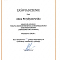 Powiększ obraz: certificate 4
