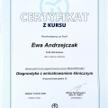 Powiększ obraz: certificate 9