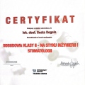 Powiększ obraz: certificate 4